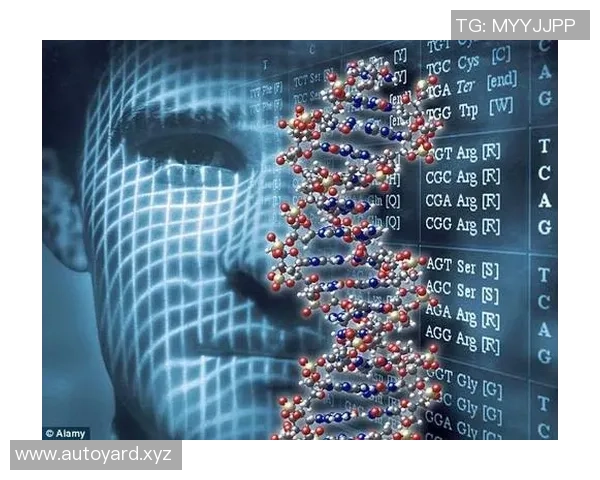 技术差距引发的竞技不平等与设备公平伦理的探讨 技术差距引发的竞技不平等与设备公平伦理的探讨